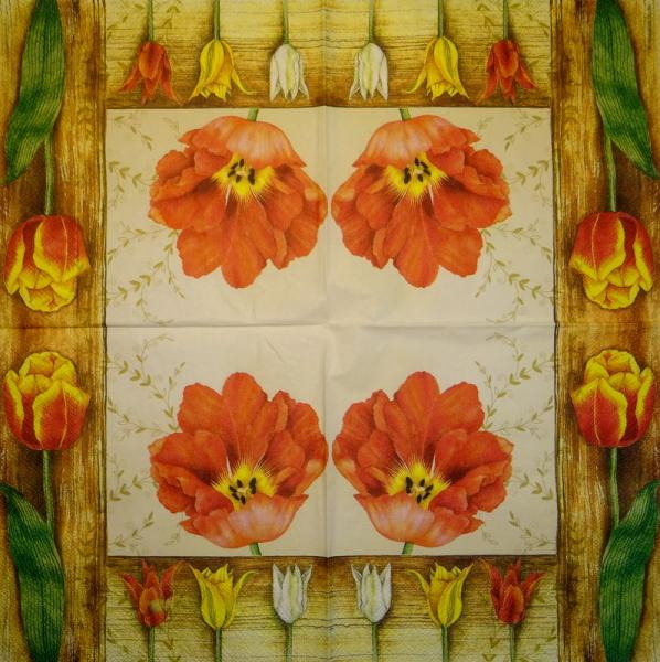 118 Tulpen - 3-lagig - Ambiente